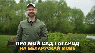 АГЛЯД МАЙГО АГАРОДА НА БЕЛАРУСКАЙ МОВЕ. Назва раслін якія я вырошчваю на беларускай мове.