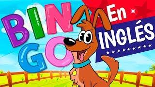 BINGO, En Inglés - Canciones infantiles | Toy Cantando