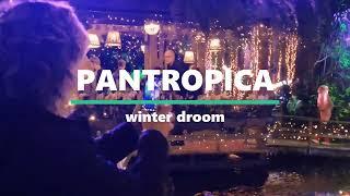 Pantropica Winter droom