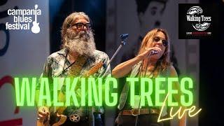 Walking Trees live al Campania Blues festival