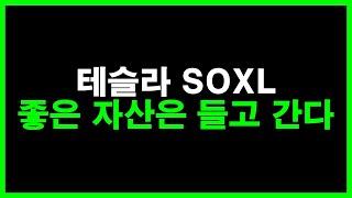 테슬라 SOXL 좋은 자산은 들고 간다. 그러나 장기투자 어려운 이유