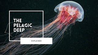 Deep Sea Wonders of the Pelagic Zone