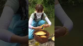 Nature's Bounty Unveiled: Girl Finds Giant Clam, Inside Lies a Pearl Jackpot