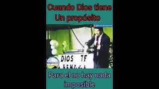 El Gorilon del Pastor. (para Dios no hay nada imposible)