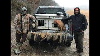 Squirrel Hunting with Awesome dogs!!!