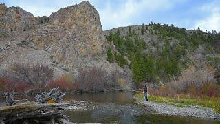 Trout Fishing for NATIVE Rainbow Trout! (Fly Fishing Trout)