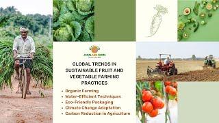 Top 5 Global Trends in Sustainable Farming 
