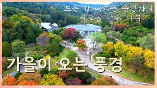 가을이 오는 풍경 [국립수목원 가을 영상]