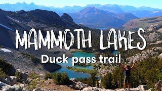 Duck Pass Trail: The BEST Hike In Mammoth Lakes