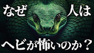 【ゆっくり解説】ヘビが霊長類に与えた進化とは？長きに渡る哺乳類とヘビの攻防戦