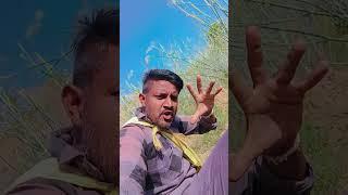 Life of Thakor ll Thakor's Family Vlogs#shortvideo#lifeofthakor #gujju