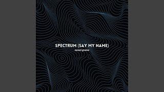 Spectrum (Say My Name)