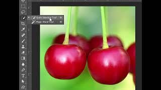 Quick Selection Tool | Photoshop 2020 for Beginners | Top 10 Tools in Photoshop