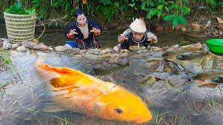 Dwarf Family encounter a huge school of fish - catch fish and trap fish | Simple life full of joy