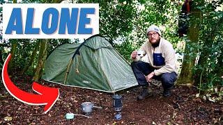 My First Time SOLO Wild Camping in the Woods (scary noises)