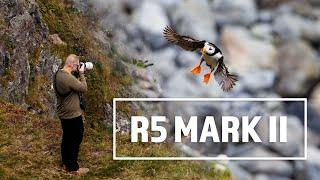 Capturing Puffins in Flight with Canon R5 Mark II