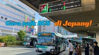 Cara naik Bus di Jepang
