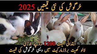 Desi Rabbit Price in Pakistan Lalukhet Birds Market 2025 Latest Update | Rabbit Farming