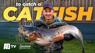 Catfish Fishing - Specimen Series - Phil Spinks