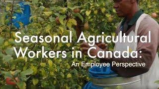 Seasonal Agricultural Workers in Canada - An Employee Perspective