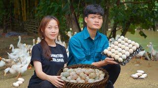 With girlfriend; Harvest duck eggs, Go to the market to sell, Cooking on the farm