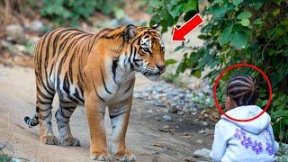 THE TIGER APPROACHED THE GIRL CRYING, AND THEN SOMETHING UNIMAGINABLE HAPPENED!