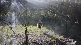The Elders | Grow Wild