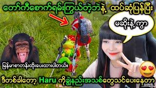 Haruက တော်ကီတွေစောက်ရမ်းကြွယ်တဲ့ဘဲနဲ့ ထပ်ဆုံပြန်ပြီး (ဒီတစ်ခါတော့ ဘာတွေကြွယ်ပြဦးမလဲ?) | HRJHaruJar