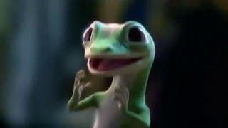 The "Geico" Gecko Complination