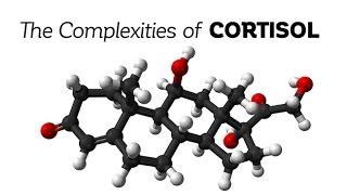 The Complexities of Cortisol