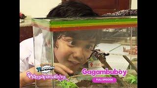 Wansapanataym: Gagambuboy Full Episode | YeY Superview