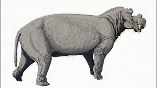 Dinocerata: Sabre-Toothed False Rhinos