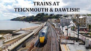 Trains at Teignmouth & Dawlish, Devon! (2024) #TRAINS