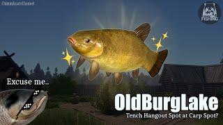 (Russian Fishing 4) Old Burg Tench Hangout Spot but Grass Carp Joined the Party too!