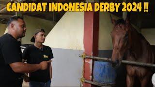 REVIEW !! RATU SS KANDIDAT KUDA PACU CALON DERBY 2024 KEBANGAAN MASYARAKT NANGGORE ACEH DARUSSALAM