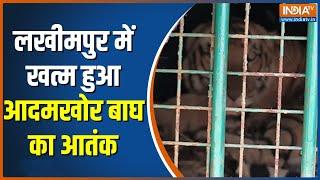 Lakhimpur Kheri News: गांववालों को मारने वाला आदमखोर बाघ पिंजरे में कैद | Jaago India | Morning News