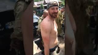 Это комары | These are mosquitoes