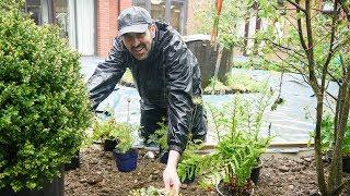 Adam Frost courtyard garden start to finish