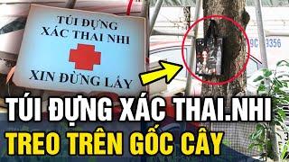 Bí ẩn 'TÚI ĐỰNG XÁC THAI NHI XIN ĐỪNG LẤY' treo ở gốc cây ven đường và sự thật nhói lòng