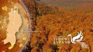 The Four Seasons TOHOKU JAPAN