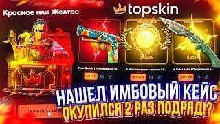 ПОЙМАЛ ЖИРНЫЙ ЗАНОС с НОВОГО КЕЙСА на TOPSKIN и ОКУПИЛСЯ!?