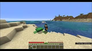 How to Tame Turtles in Minecraft!