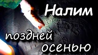 налим поздней осенью