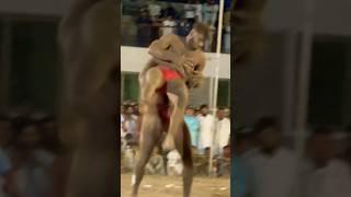 What a beautiful kushti technique #shorts #namatpehlwan #trending #motivation #youtubeshorts