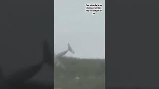 The plane crashed into the forest | Which country's plane is this?| #shorts #viral #tiktok #whatsapp