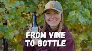 Starting a Vineyard from Scratch - Tara Coronado from Beaver Vineyards