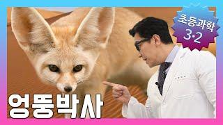 사막에는 어떤 동물이 살까요? | 초등3학년2학기 과학, 실험 |