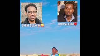 Dahir vs shiine