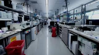 Fast-paced video of the dedicated work of Mayo Clinic Laboratories staff.