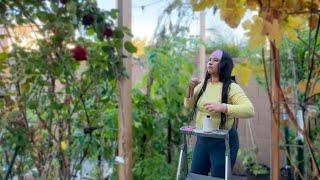 A Day Working in My Arizona Kitchen Garden